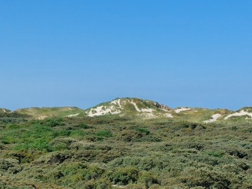 Groen duinlandschap onder blauwe lucht